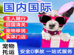宜春明月山航空快递国际宠物托运 【国